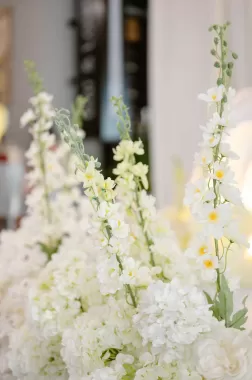 PSC Kim Ngân - Quốc Chấn