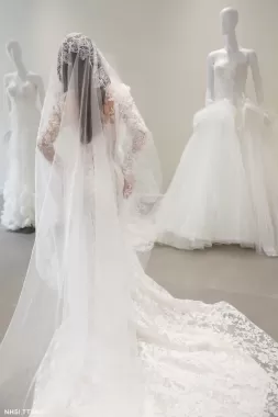 Mẫu 37