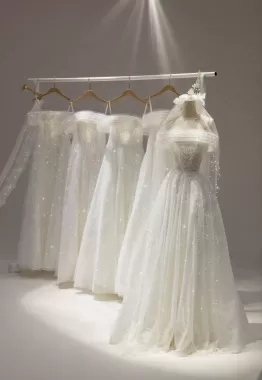 Mẫu 27